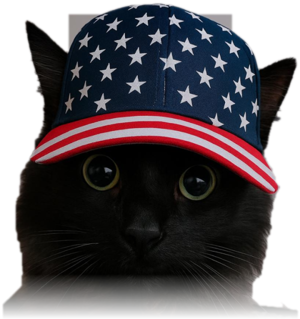 Logotipo de Gato Gabacho: gatito negro con gorra de la bandera de Estados Unidos